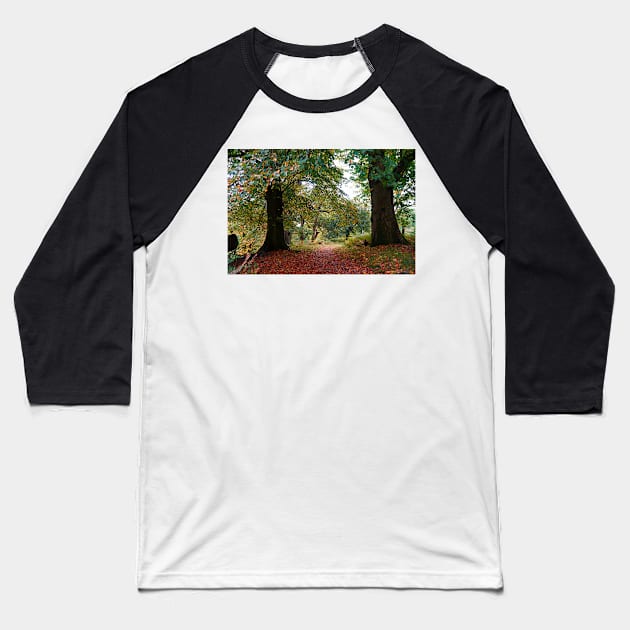 Autumn Woodland Path With Colorful Fallen Leaves Baseball T-Shirt by Harmony-Mind